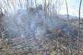 A big fire. The dry grass is burning. much smoke Royalty Free Stock Photo