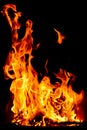 Burning fire flame on the black background, Logs burning in a fireplace. Royalty Free Stock Photo