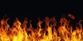 Burning fire flame on black background Royalty Free Stock Photo