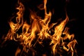 Burning fire. Fire flame texture. Flames on black background. Blaze fire flame background. Texture of fire on black background Royalty Free Stock Photo