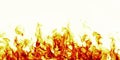 Burning fire flame on white background Royalty Free Stock Photo