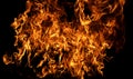Burning fire. Fire flames on black background. Blaze fire flame background. Abstract fire flame background. Royalty Free Stock Photo