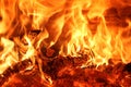 The burning fire flames in the wood oven Royalty Free Stock Photo