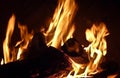 Burning fire logs Royalty Free Stock Photo