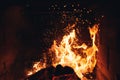 Burning fire logs with sparks in the fireplace