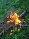 Campfire on grass Royalty Free Stock Photo
