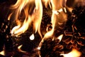 Burning fire from pine cones in the forest. Detail of flames Royalty Free Stock Photo