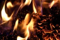 Burning fire from pine cones in the forest. Detail of flames Royalty Free Stock Photo