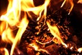 Burning fire from pine cones in the forest. Detail of flames Royalty Free Stock Photo
