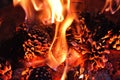 Burning fire from pine cones in the forest. Detail of flames Royalty Free Stock Photo