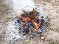 burning fire from twigs and fallen leaves Royalty Free Stock Photo