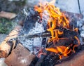 A burning fire in winter in nature.Cooking food on the fire. Royalty Free Stock Photo