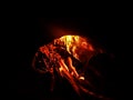 Burning fire in a wood-coal oven on a winter night close-up shot Royalty Free Stock Photo
