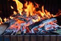 Burning fireplace background Royalty Free Stock Photo