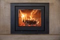 Burning fireplace, front view. Wood logs fireside, glass door, cast iron frame, marble wall background