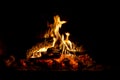 The firewood burns in the fireplace Royalty Free Stock Photo