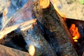 Burning firewood in a barbecue grill.