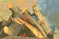 Burning firewood in a barbecue grill.