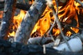 Burning firewood in the bonfire. Flames burning in the grill with smoke. Arson or natural disaster. Royalty Free Stock Photo