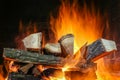 Burning firewood in the brazier. Royalty Free Stock Photo