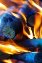 Burning firewood in a campfire close-up