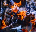 Burning firewood closeup. Fire and flames.