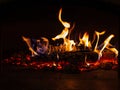 Burning Firewood in Cozy Hearth: Flames Flickering in Rustic Fireplace