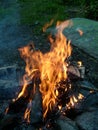 Burning firewood in a fire. Bright fire. Tongues of flame of orange color