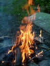 Burning firewood in a fire. Bright fire. Tongues of flame of orange color