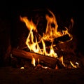 Burning firewood. Fire and charcoal texture. Royalty Free Stock Photo