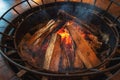Burning firewood, fire and embers in stove for cooking or heating Royalty Free Stock Photo