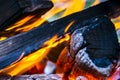 Burning firewood in the fireplace close up, BBQ fire, charcoal b