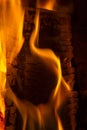 Burning firewood in the fireplace close up. Fire blaze