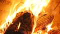 Burning firewood in the fireplace closeup, glowing logs, fire and flames Royalty Free Stock Photo