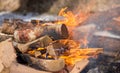 Burning firewood flames close up