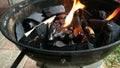 Burning firewood on the mettalic grill. Brazier with burning firewood.