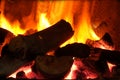 s, flame fire, burning outdoors. smoke going up from burning wood logs, campfire