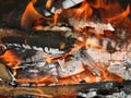 Burning flame of the campfire Royalty Free Stock Photo