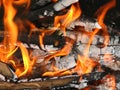 Burning flame of the campfire Royalty Free Stock Photo