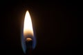 Burning flame on an isolated match stick on a black background