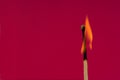 Burning Flame Matchstick Royalty Free Stock Photo
