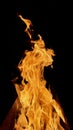 Burning flame of wood fire, black background Royalty Free Stock Photo