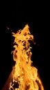 Burning flame of wood fire, black background Royalty Free Stock Photo