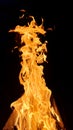 Burning flame of wood fire, black background Royalty Free Stock Photo