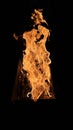 Burning flame of wood fire, black background Royalty Free Stock Photo