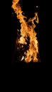 Burning flame of wood fire, black background Royalty Free Stock Photo