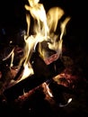 Burning flames on wood logs on a fire pit Royalty Free Stock Photo