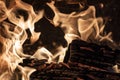 Burning flames on wood logs on a fire place Royalty Free Stock Photo