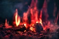 Burning flaming blaze fire in forest wilderness inferno closeup. Conflagration natural pattern with damage tree firewood Royalty Free Stock Photo