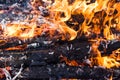 Burning forest campfire.texture and background of burning coal close up Royalty Free Stock Photo